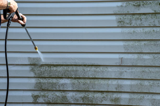 Best Stucco Siding  in Southside, AL