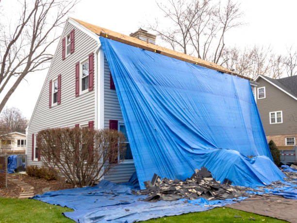 Best Historical Building Siding Restoration  in Southside, AL