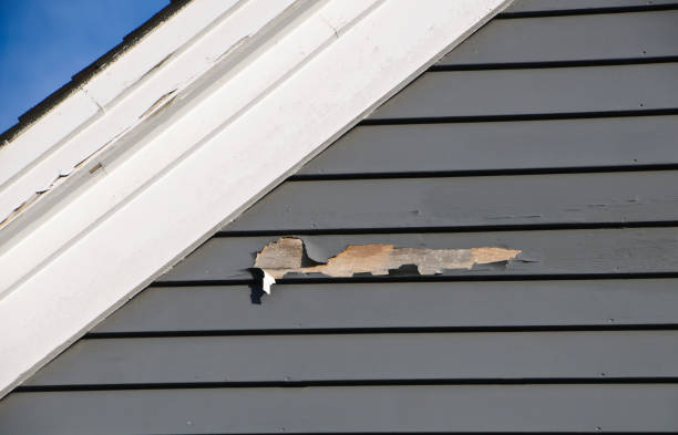 Best Steel Siding Installation  in Southside, AL